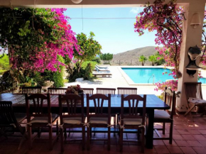 LOS MORALICOS AGUA AMARGA